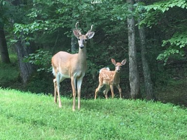 Buttons and his mentee