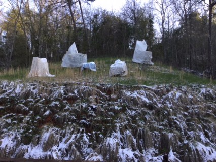 Orchard after snow 4-17-18